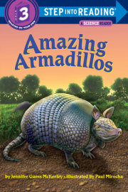 Amazing Armadillos 