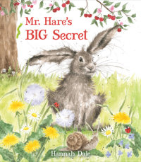 Cover of Mr. Hare\'s Big Secret