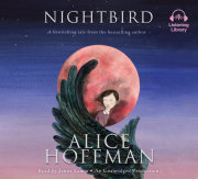 Nightbird 