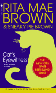 Cat's Eyewitness 