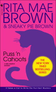 Puss 'n Cahoots 