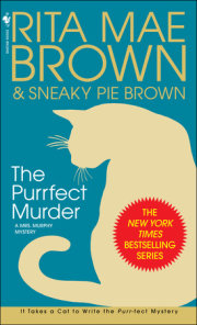 The Purrfect Murder 