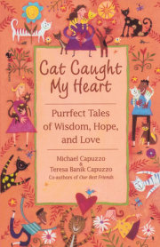 Cat Caught My Heart 