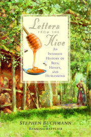 Letters from the Hive 