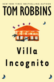Villa Incognito 
