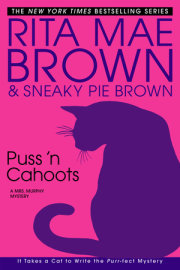 Puss 'n Cahoots 