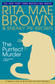 The Purrfect Murder 