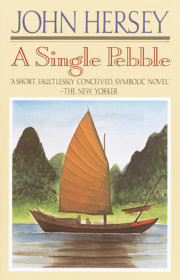 A Single Pebble 