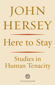 Here to Stay 
