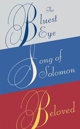 the bluest eye book cover