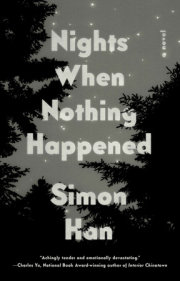 Nights When Nothing Happened 