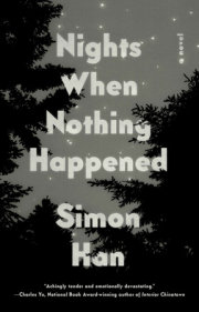 Nights When Nothing Happened 
