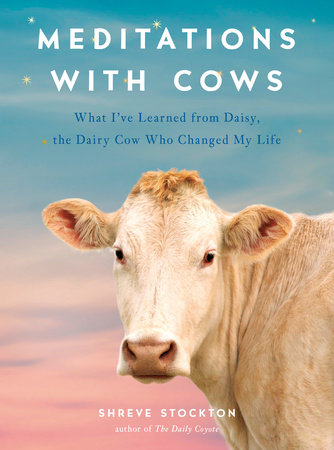 Meditations with Cows by Shreve Stockton: 9780593086681 |  PenguinRandomHouse.com: Books