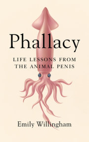 Phallacy 