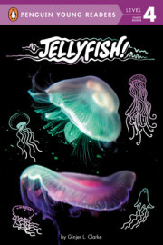 Jellyfish! 