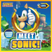 Meet Sonic!