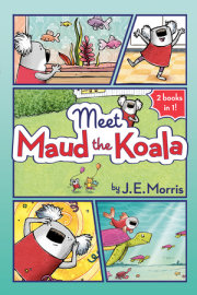 Meet Maud the Koala 