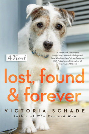 Lost, Found, and Forever by Victoria Schade: 9780593098851