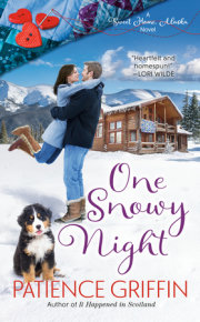 One Snowy Night 