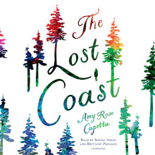 The Lost Coast Cover