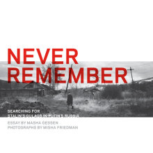 Never Remember Cover