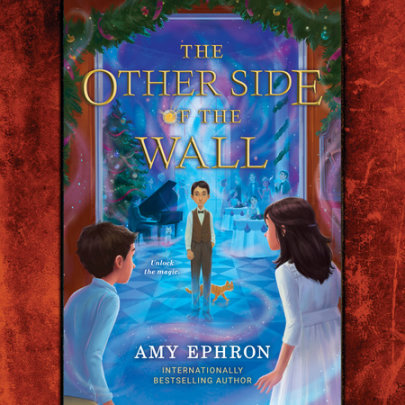The Other Side of the Wall Cover