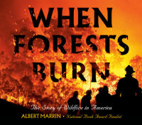 Book cover for When Forests Burn
