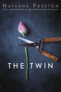 Book cover for The Twin