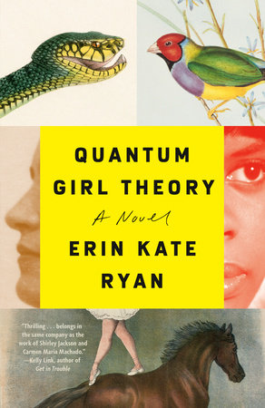 Quantum Girl Theory by Erin Kate Ryan 9780593133453