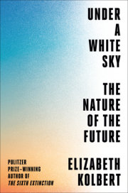 Under a White Sky 