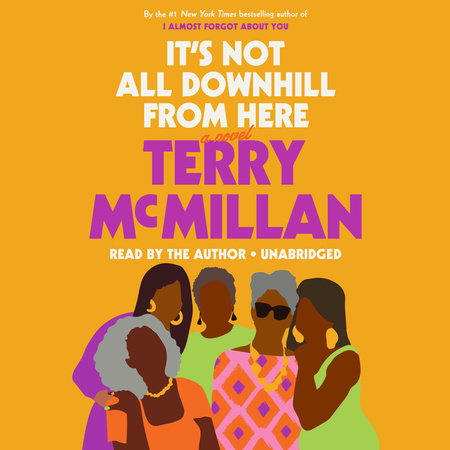 It's Not All Downhill From Here by Terry McMillan