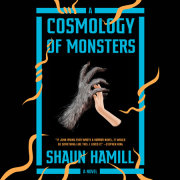 A Cosmology of Monsters 