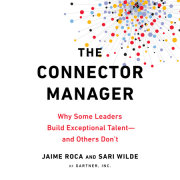 The Connector Manager 