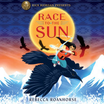 Race to the Sun Cover