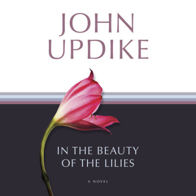 In the Beauty of the Lilies Cover