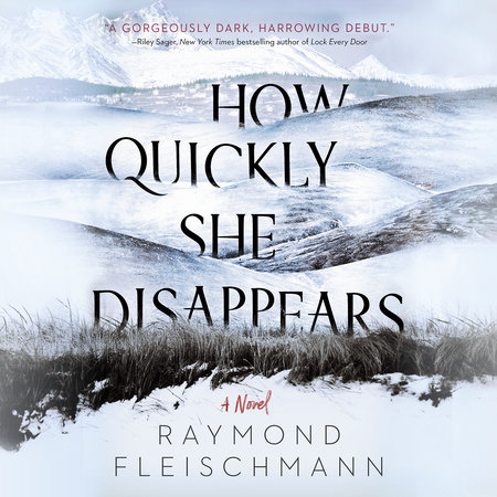 How Quickly She Disappears by Raymond Fleischmann