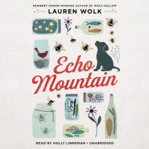 Echo Mountain Cover