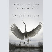 In the Lateness of the World 