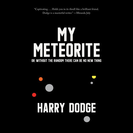 My Meteorite by Harry Dodge