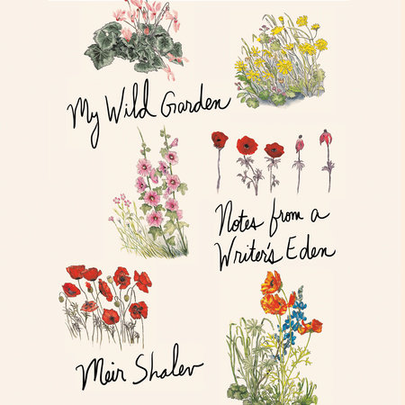 My Wild Garden by Meir Shalev