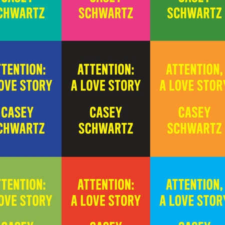 Attention: A Love Story by Casey Schwartz