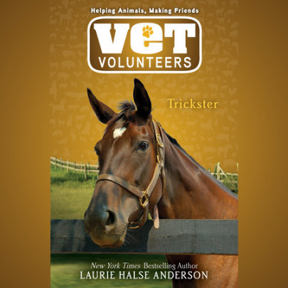 Trickster Cover