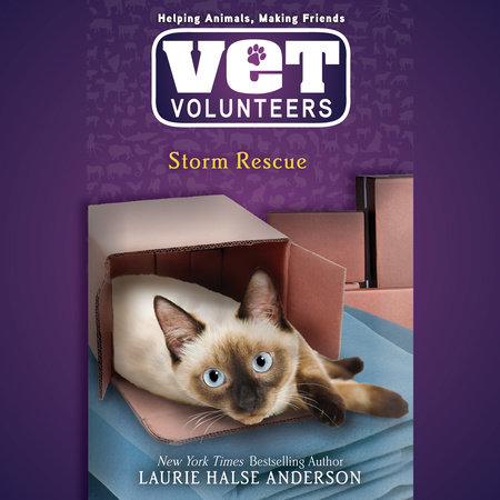 Storm Rescue by Laurie Halse Anderson