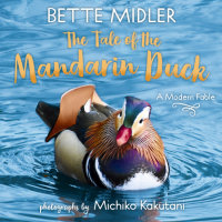 Book cover for The Tale of the Mandarin Duck