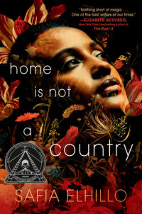 Book cover for Home Is Not a Country