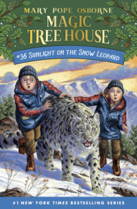 Book cover for Sunlight on the Snow Leopard