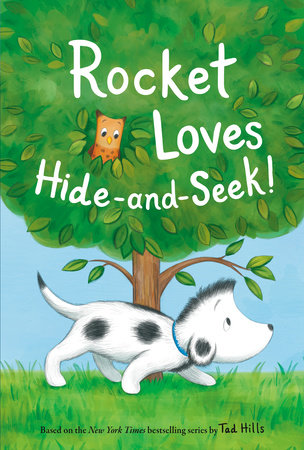 Rocket Loves Hide-and-Seek! by Tad Hills: 9780593177921 |  : Books