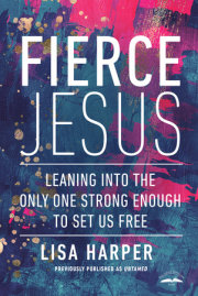 Fierce Jesus 