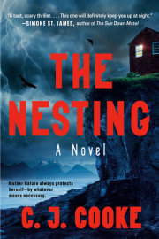 The Nesting 