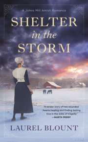Shelter in the Storm 
